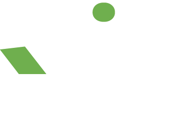 VIS Software Logo